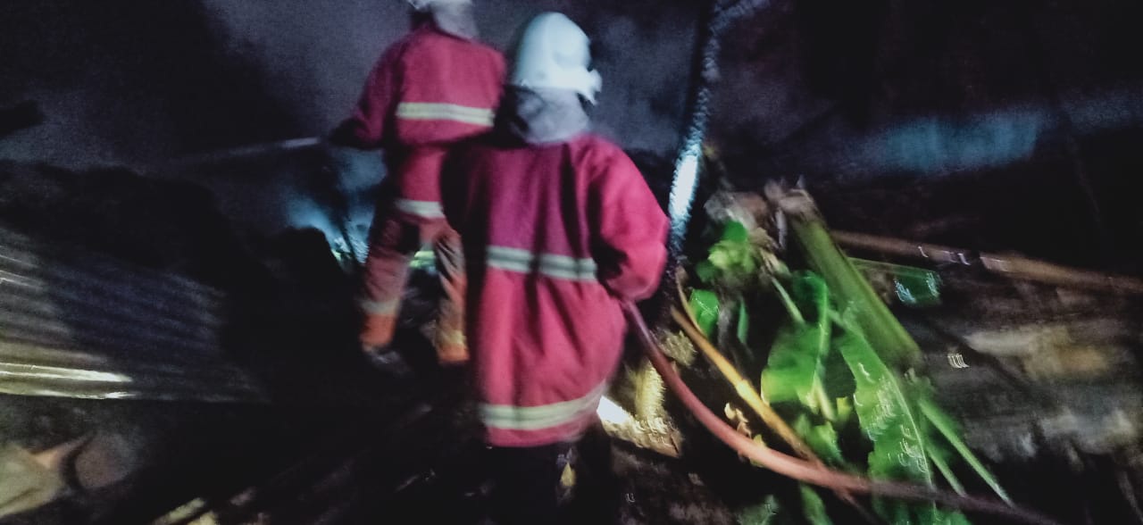 2 Ekor Sapi Tepanggang Saat Kebakaran di Desa Karangsono