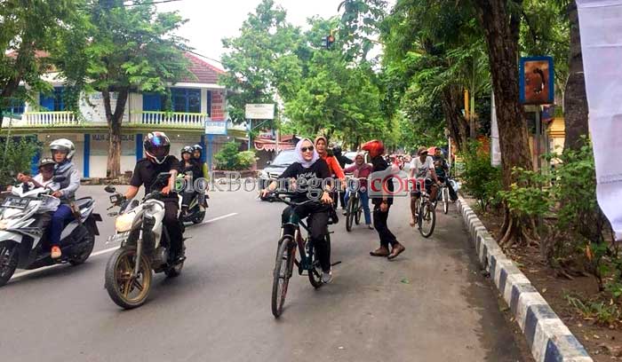 Pemkab Segera Ganti Pohon yang Mati