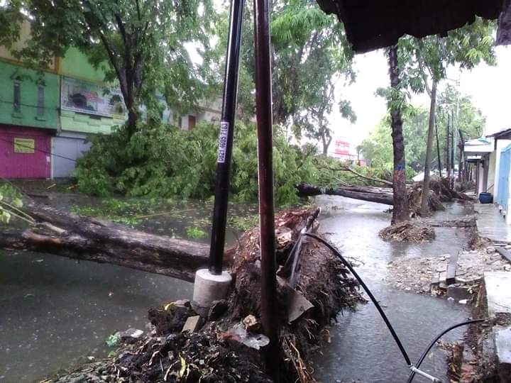 Bojonegoro Disapu Angin Puting Beliung