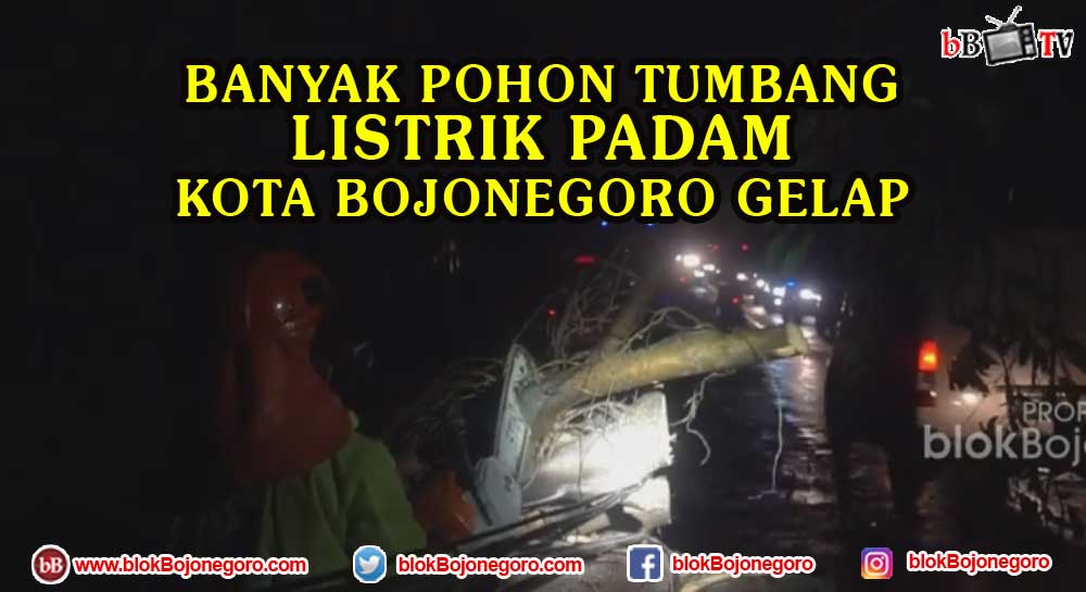 Pohon Tumbang, Listrik Padam di Kota Bojonegoro