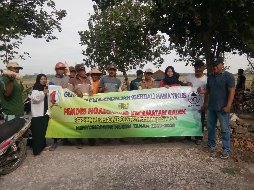 Pemdes dan Kelompok Tani Ngadiluhur Balen Kendalikan Tikus