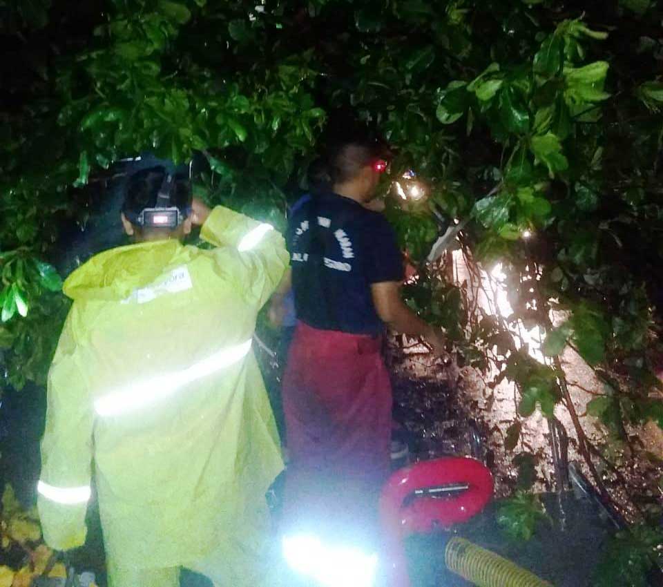 Angin Puting Beliung, 7 Pohon Tumbang 3 Orang jadi Korban
