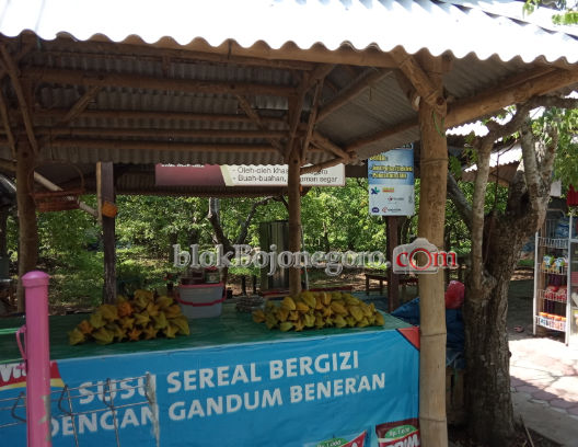 Hari Kedua Lomba Kebersihan Lapak, Kebun Belimbing Masih Sepi Pengunjung