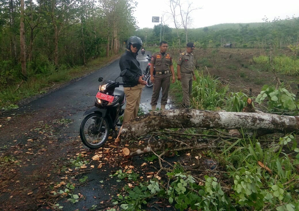 Hujan Disertai Angin, Tempat Cucian Mobil Roboh dan 2 Pohon Tumbang