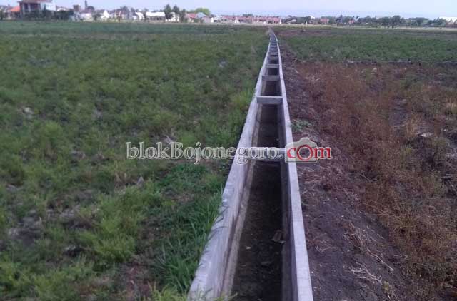 Faktor Cuaca, Banyak Petani Tunda Masa Tanam