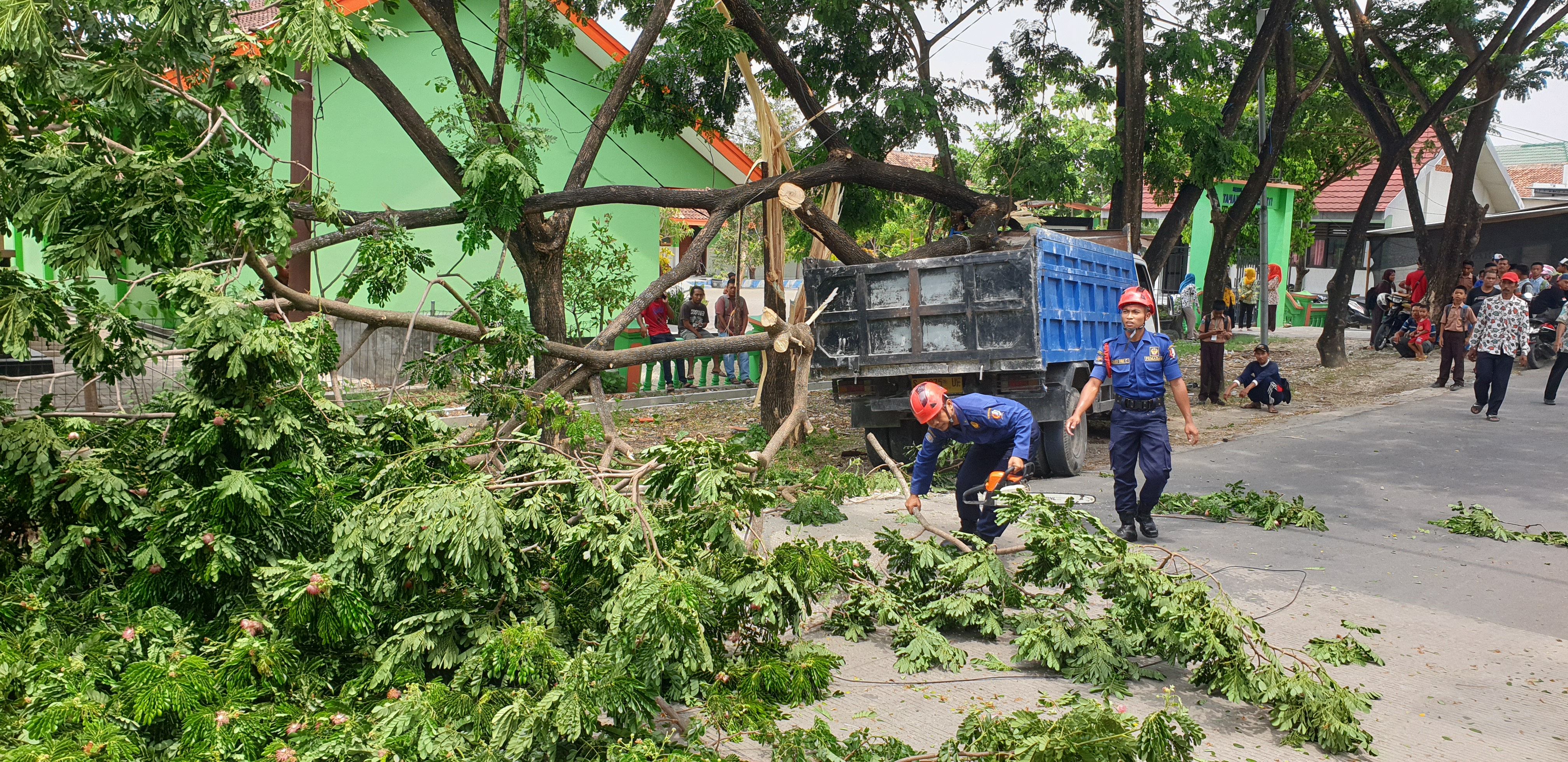 Diduga Ngantuk, Truk Hantam Pohon Sampai Roboh