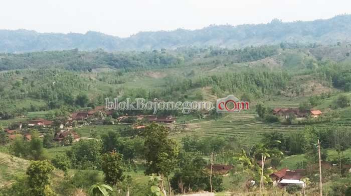 Berburu Sinyal di Atas Bukit