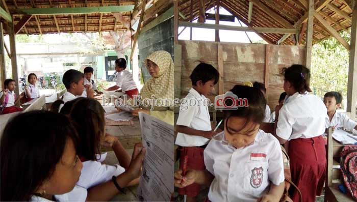 Dua Kali Ditinggal Pergi Kontraktor, Siswa SDN Turi IV Belajar di Gubuk