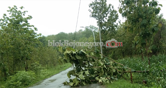 Hujan Angin Kembali Menerjang Selatan Bojonegoro