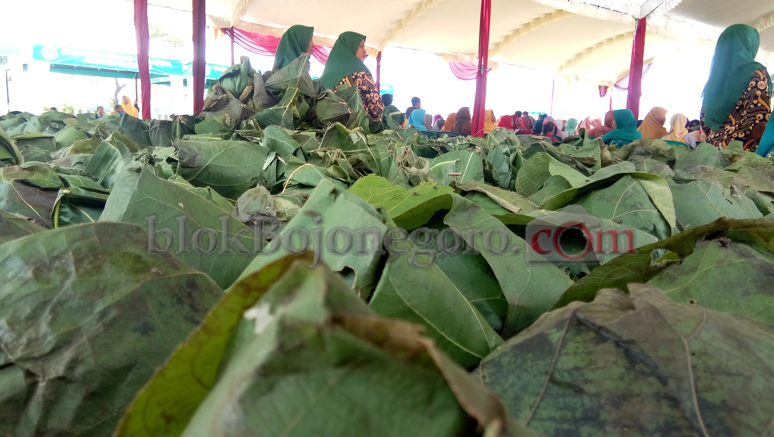 Berbagai Olahan Daun Kelor Disajikan dalam Bogo Kelor Festival