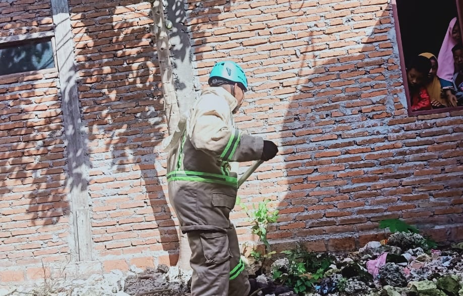 Ha...! Sehari 15 Ular Kobra Ditangkap