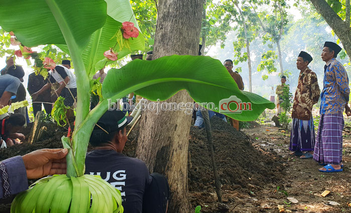 Kembang Mayang untuk Jejaka yang Meninggal