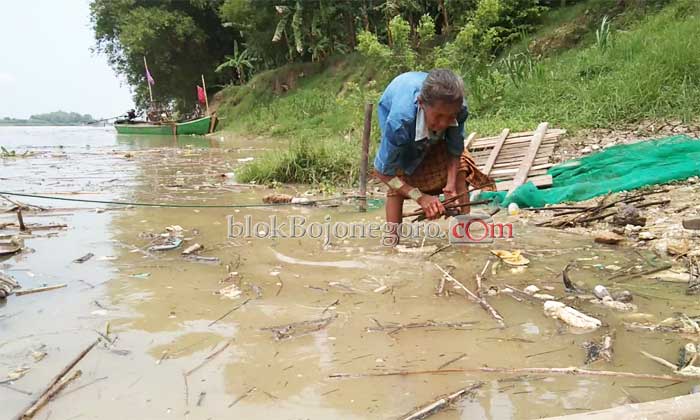 Manfaatkan Sungai Meluap untuk Cari Kayu Bakar
