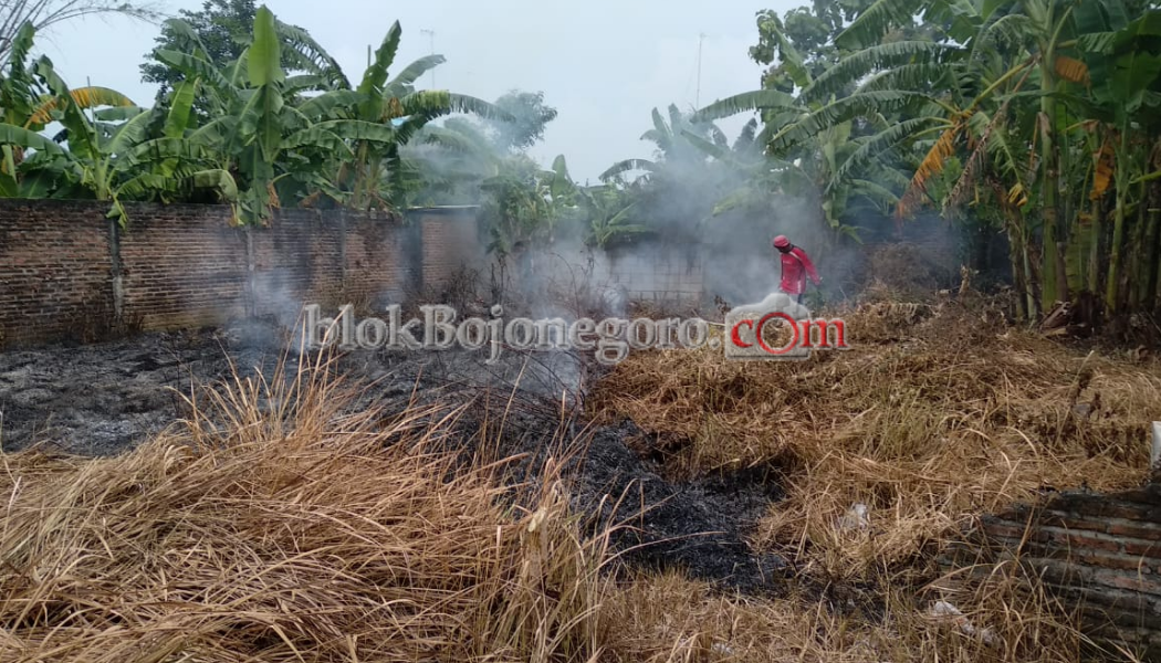 Rumput Lahan Kosong Terbakar, Warga Desa Campurrejo Panik