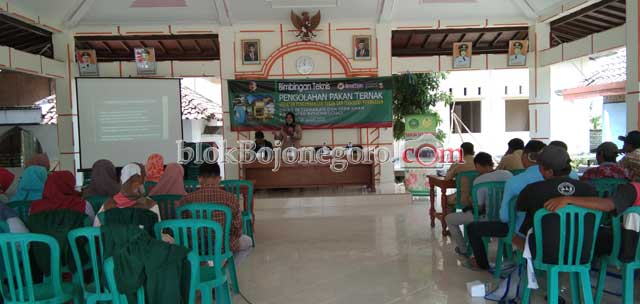 Disnakan Berikan Bimtek Pengolahan Pakan Ternak