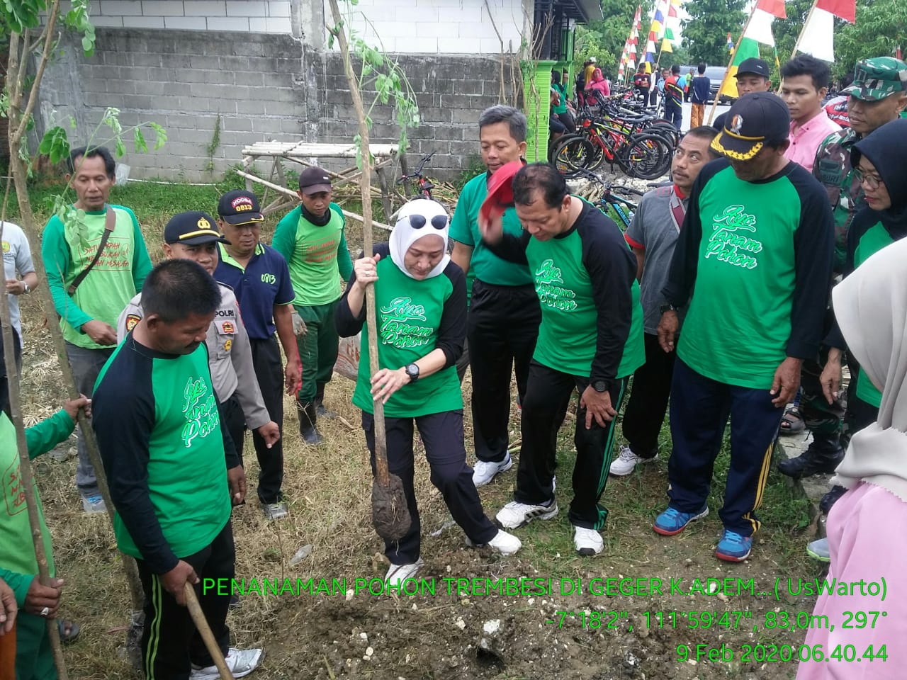 Penghijauan, 1.300 Pohon Trembesi Ditanam di Kedungadem
