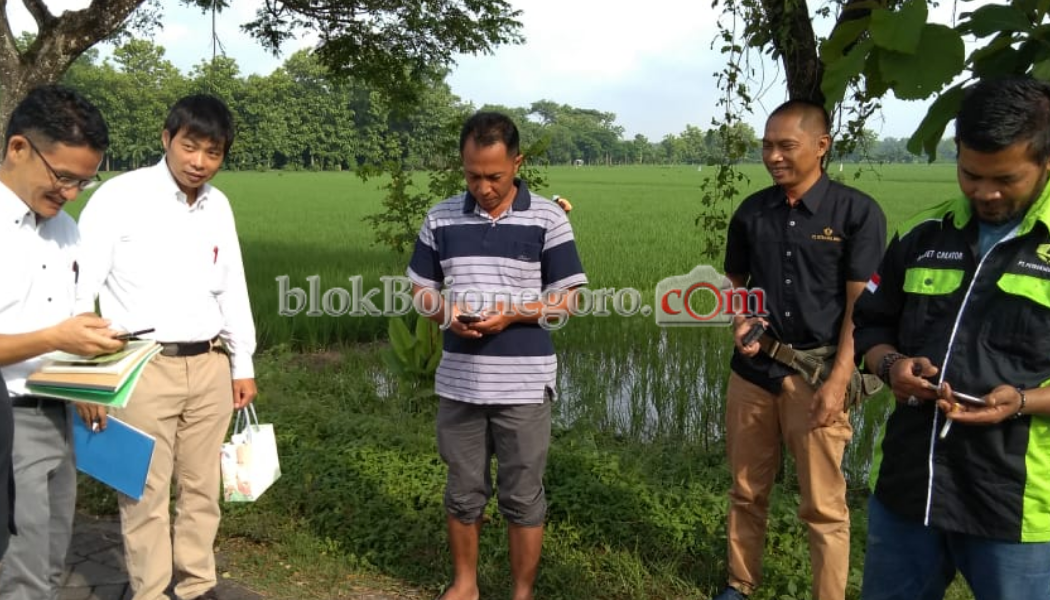 Sosialisasi Penanganan Gulma, Ahli dari Jepang Kunjungi Petani Tanjungharjo