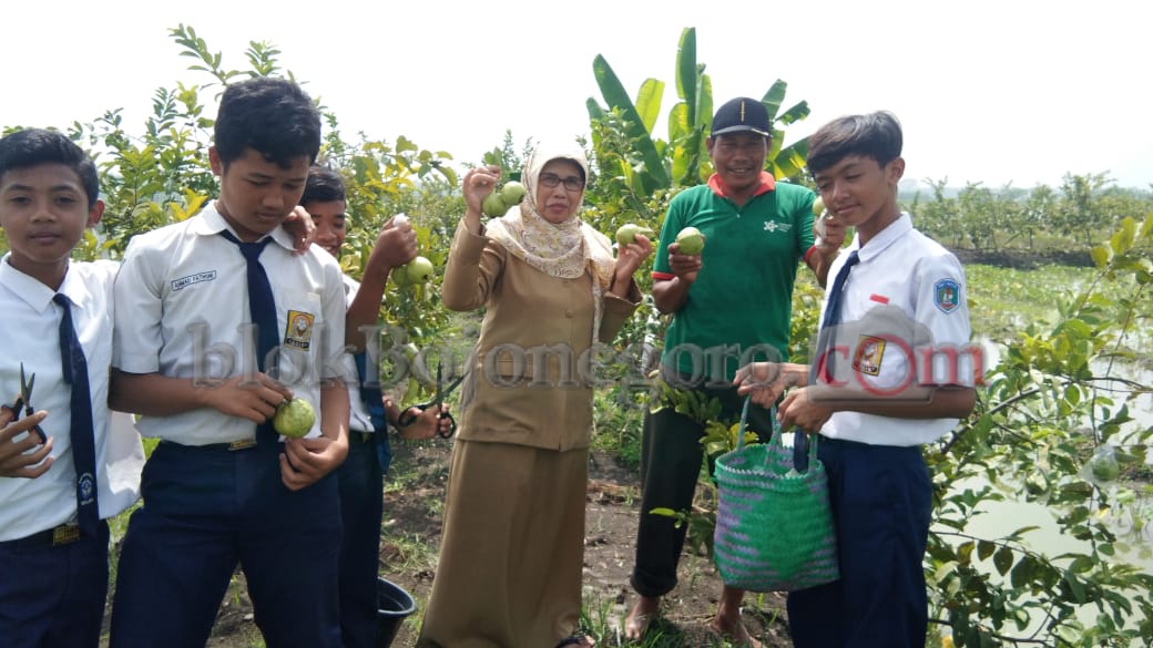 Belajar Pertanian, Siswa SMPN 1 Balen Kunjungi Griyorojokoyo