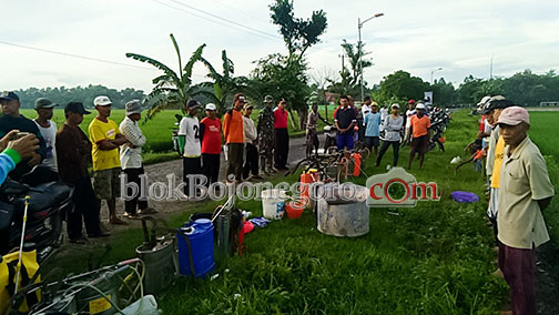 WBC dan Babinsa Sobontoro Bantu Petani Semprot Padi