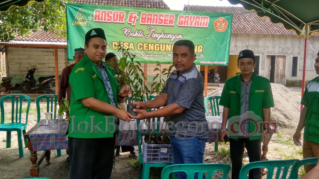 Cinta Lingkungan, Ansor Gayam Tanam Pohon Produktif