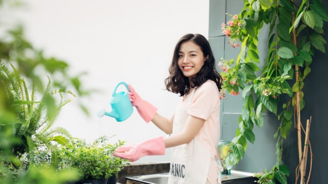 Tips buat yang Mulai Tertarik Berkebun di Rumah demi Ketahanan Pangan