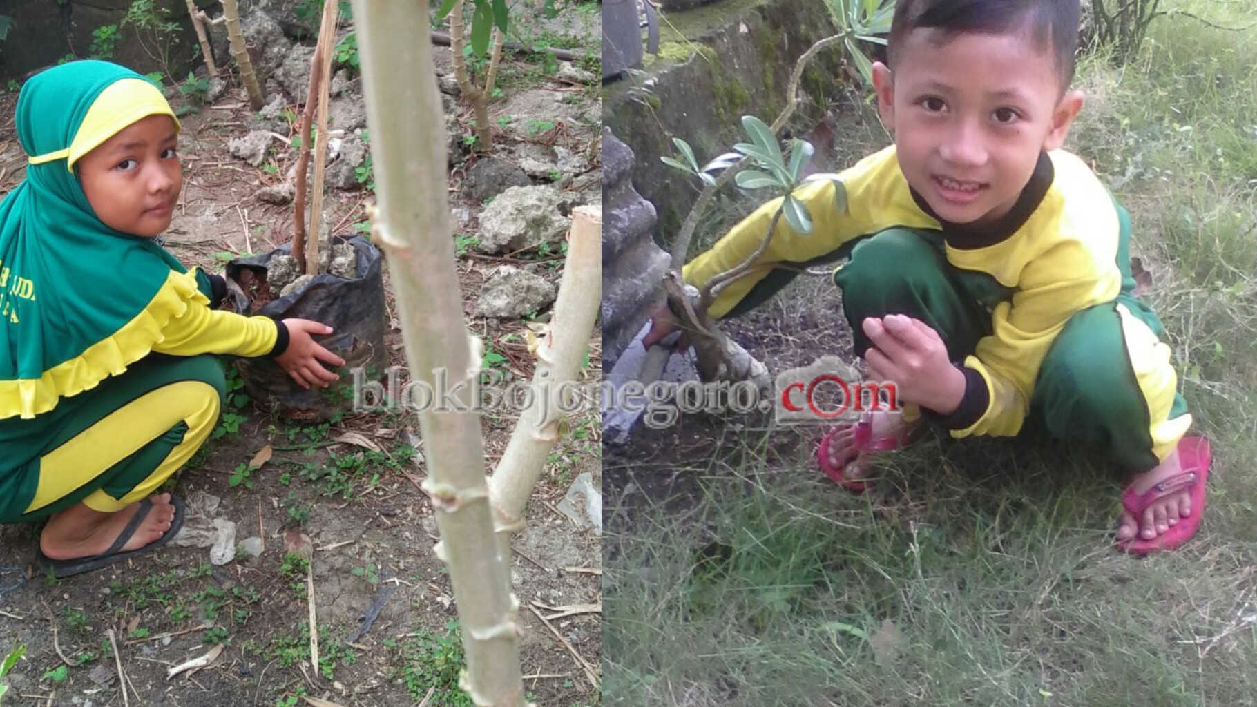 KB-RA Fattahul Huda Tanam Pohon di Rumah Masing-Masing