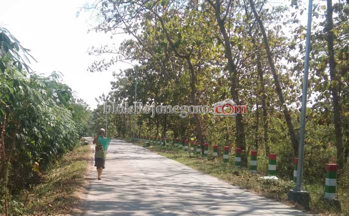 Pria ini Andalkan Mencari Kroto untuk Penuhi Kebutuhan