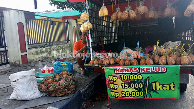 Per Hari, ini Besar Omzet Pedagang Nanas Kelud Pinggir Jalan