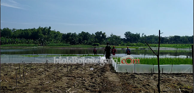 Belum Ditemukan, Pencarian Warga Pilang Terus Dilakukan