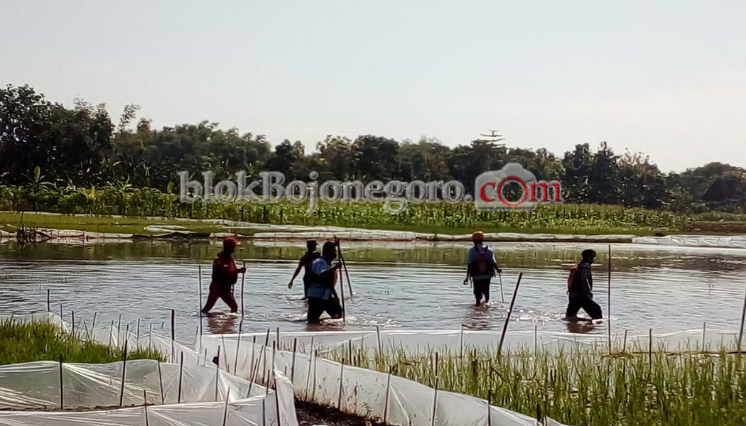 Belum Ditemukan, Pencarian Warga Pilang Kembali Dilanjutkan Esok Hari