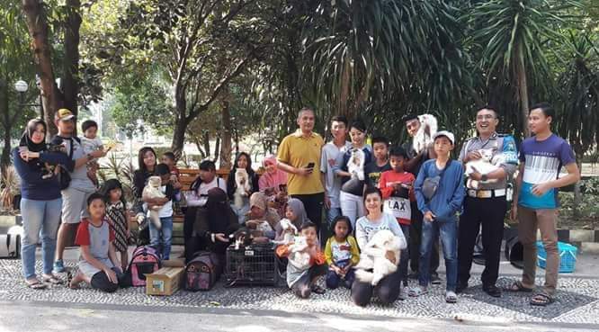 Asti Pelihara Belasan Kucing Ras dan Kampung