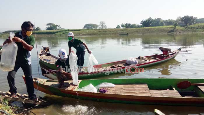 Potensi Ikan Tawar Terbesar, Bojonegoro Ditarget Mencapai 5.000 Ton