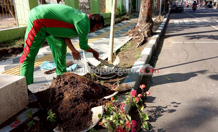 Pot Bunga Dirusak, Rp20 Juta Hangus