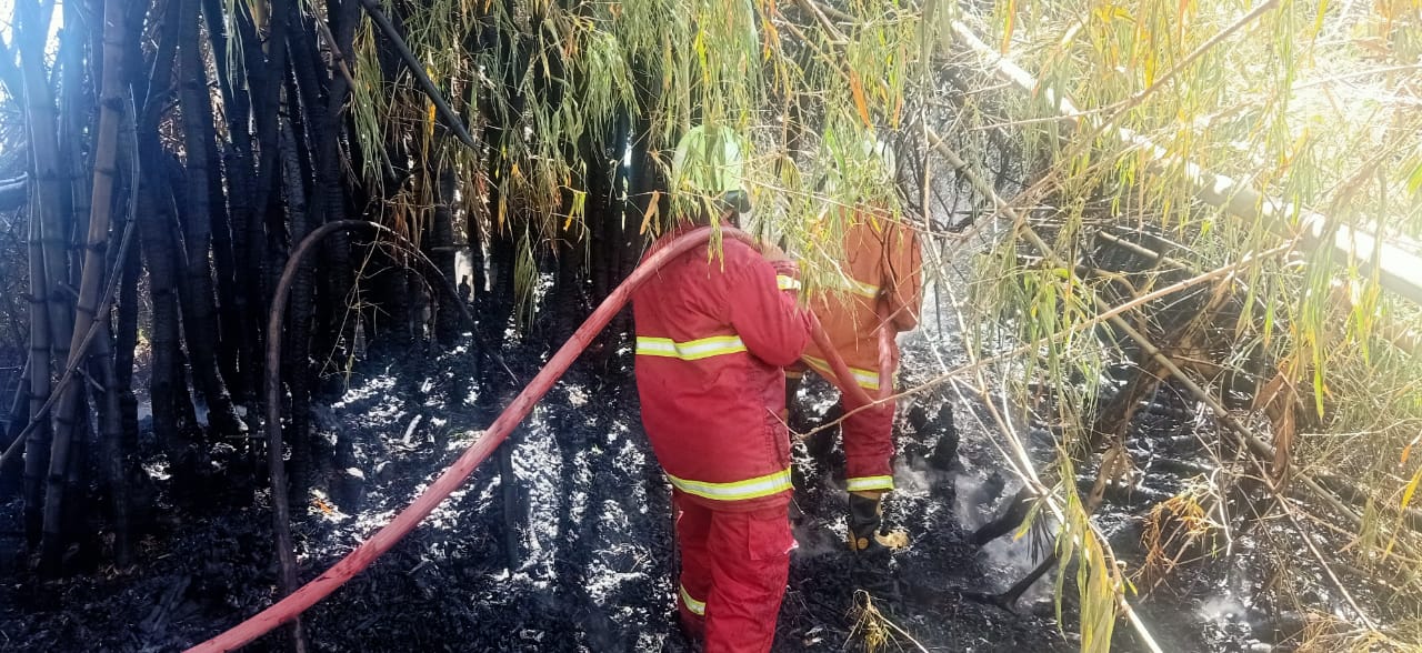 Diduga Bakar Daun Tidak Ditunggui, Lahan Bambu Terbakar