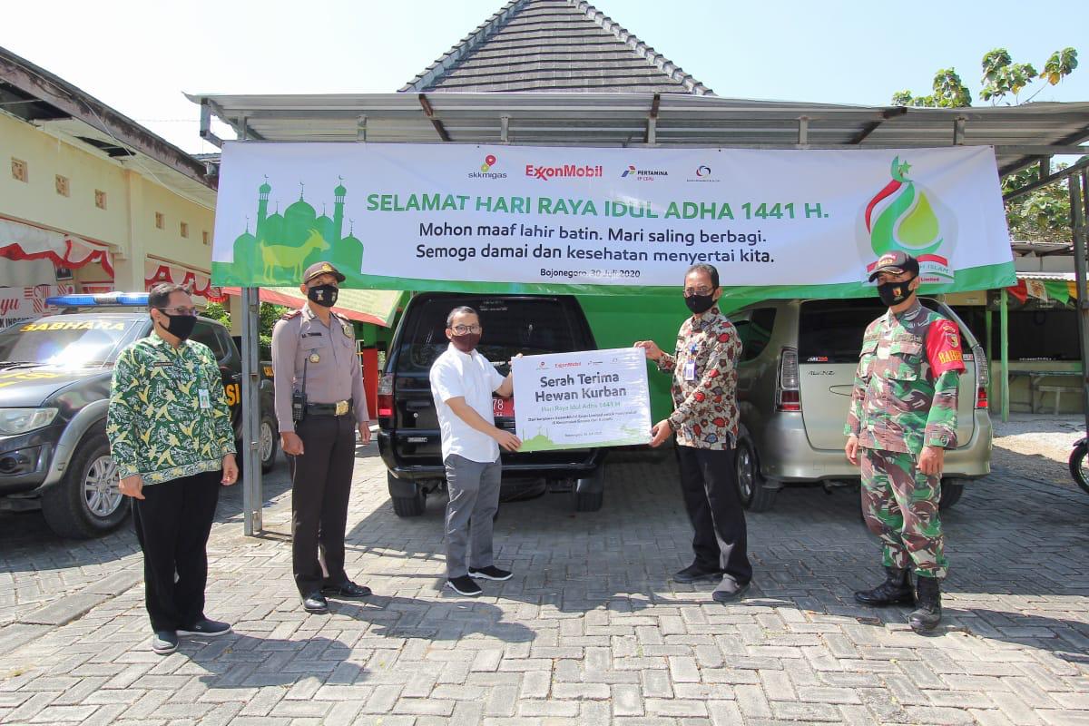 BDI EMCL Salurkan Hewan Kurban di Bojonegoro