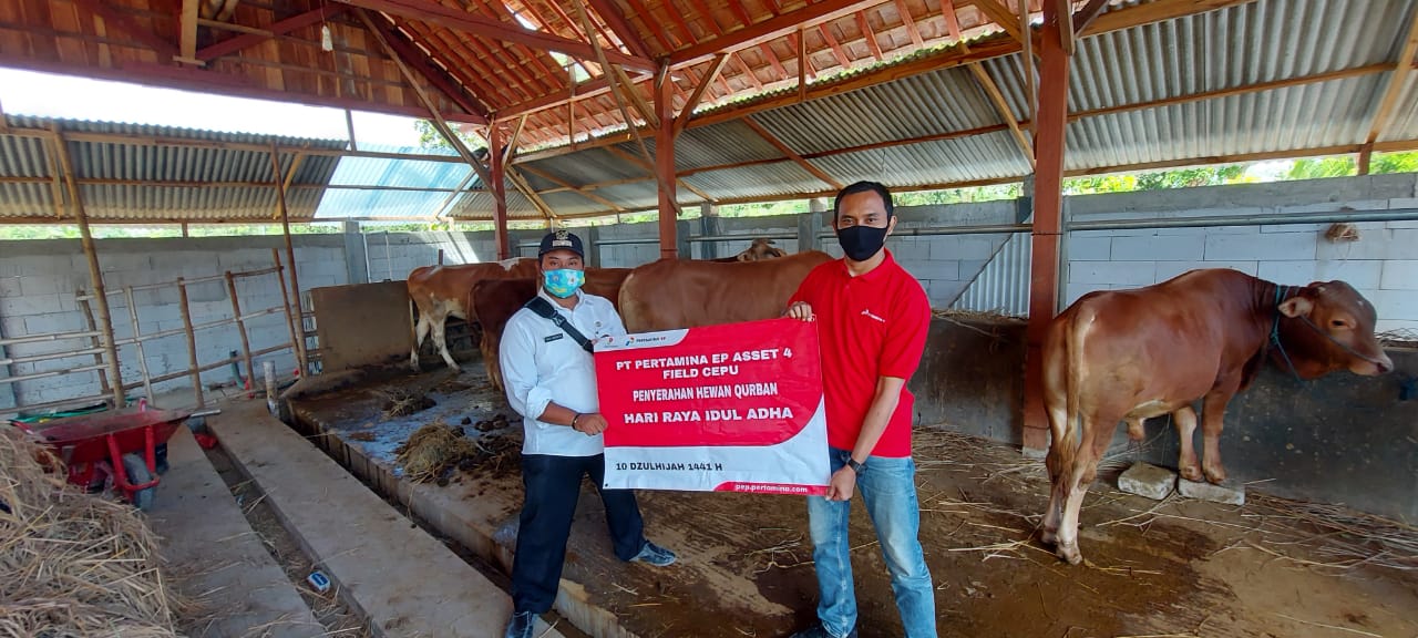 Pertamina EP Berbagi Hewan Kurban di Wilayah Operasi