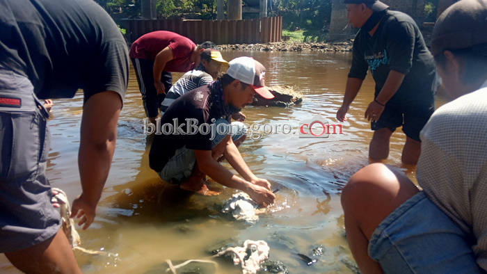 Warga Masih Pilih Cuci Jerohan Kurban di Bengawan