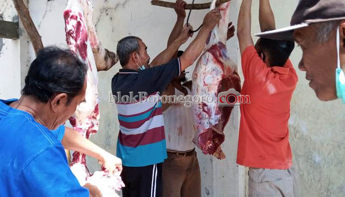 Patungan Masih Jadi Pilihan Warga Agar Bisa Kurban Sapi