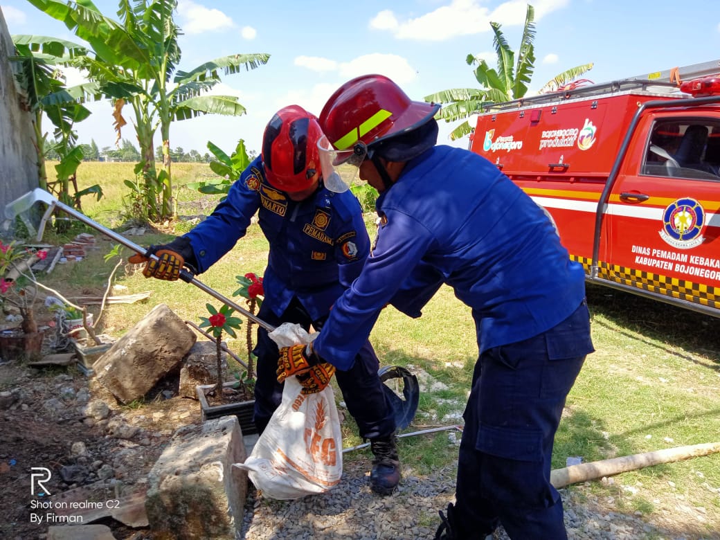 Ular Cobra 1.5 M di Perumahan Puri Dander Berhasil Ditangkap