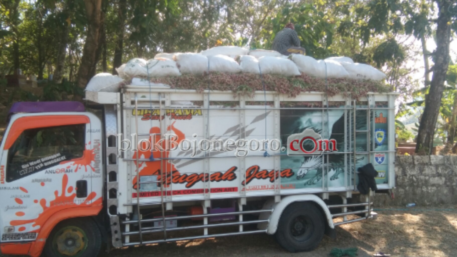 Petani Bawang Merah di Klino Panen Raya