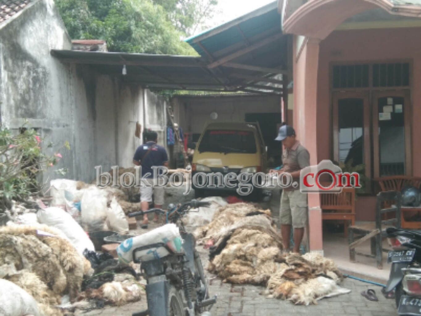 Berkah Kurban Buat Pengepul Kulit Hewan