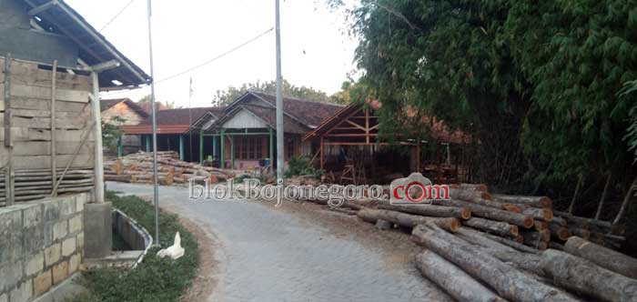 9 Tahun Geluti Usaha Kayu Jati, ini yang DIilakukan Pengusaha di Ngambon