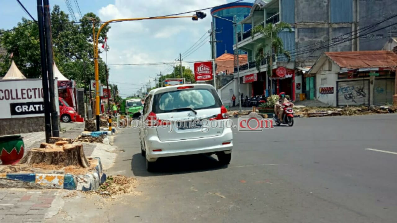 Peremajaan Penghijauan, Pohon di Seputar Kota Ditebang