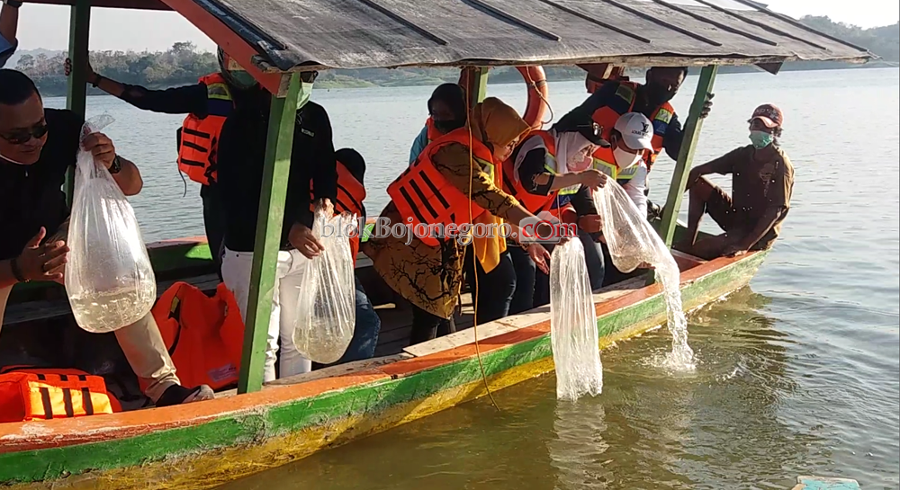 Disnakkan: Pembenihan Ikan Juga untuk Tambah PAD Bojonegoro
