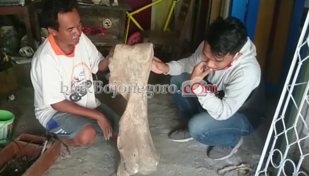 Warga Kapas Ini Koleksi Fosil dan Benda Kuno