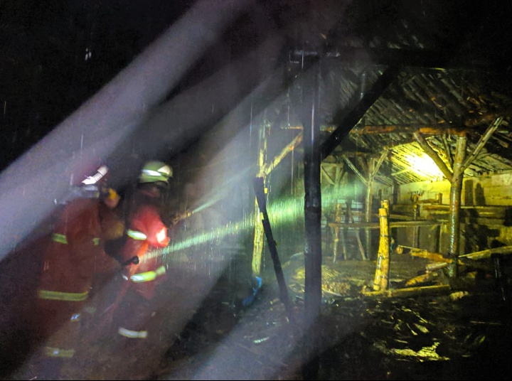 Kandang Sapi di Desa Sraturejo Terbakar, Diduga Akibat Bediang