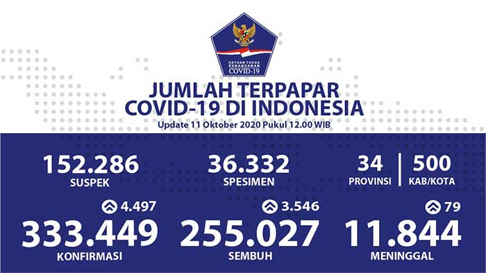 Pasien Sembuh di Indonesia Mencapai 255.027 Kasus