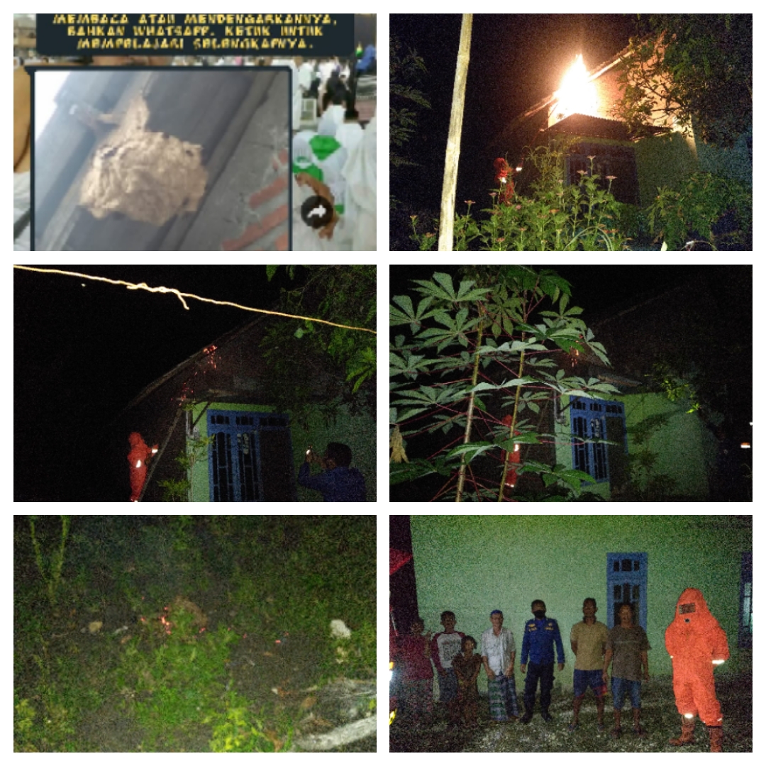 Lagi-lagi Damkar Evakuasi Sarang Tawon di Rumah Warga