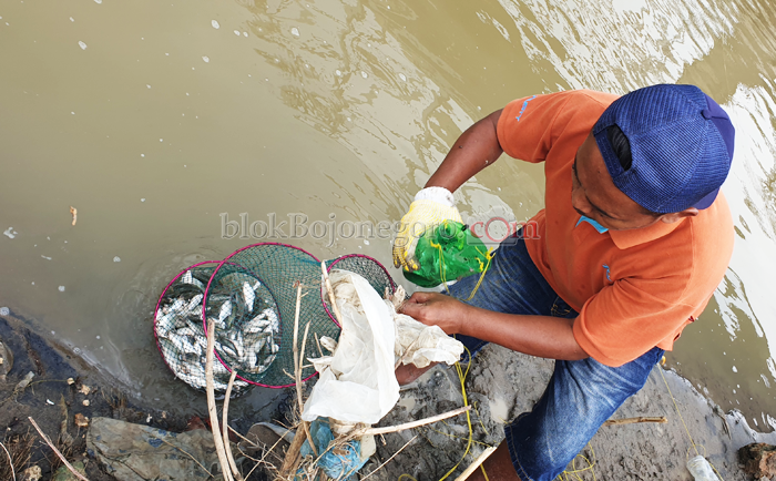 'Botol Bekas' Cara Super Mudah Tangkap Ikan Tawes di Bengawan