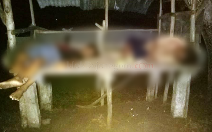 Tersambar Petir, Dua Bocah Meninggal Digubuk Sawah
